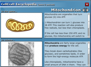 encyclopedia-mytocondria
